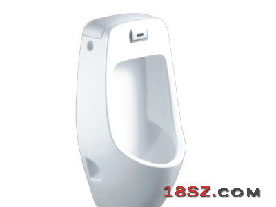 WALL-HUNG URINAL ZT-512