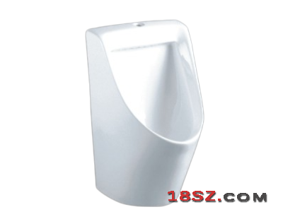 WALL-HUNG URINAL ZT-540