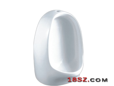 WALL-HUNG URINAL ZT-503