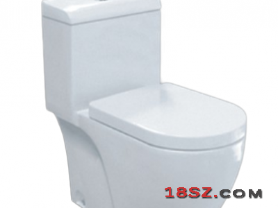 ONE-PIECE TOILET ZT-091