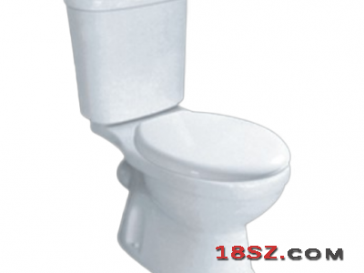 TWO-PIECE TOILET ZT-551