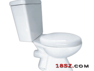 TWO-PIECE TOILET ZT-448