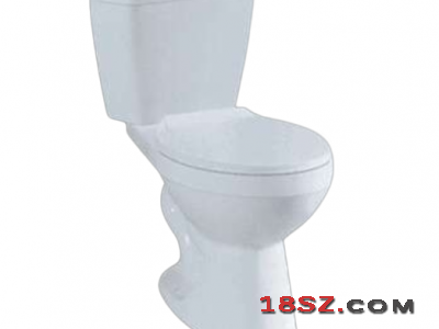 TWO-PIECE TOILET ZT-630