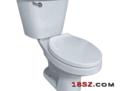 TWO-PIECE TOILET ZT-822