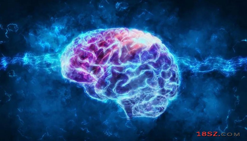 大脑视丘受低强度超音波刺激 有机会唤醒昏迷者