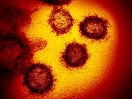 最新研究：血型影响新冠病毒感染重症率有惊人差距