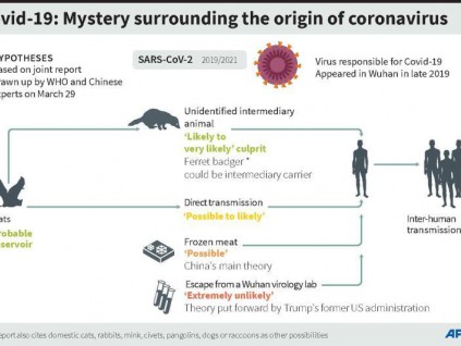 世卫组织发布新冠溯源调查报告 中间宿主传播极大
