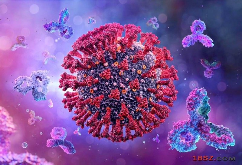 最新美国研究发现，轻症新冠患者感染病毒11个月后，体内还有抗体，还发现了能够制造抗体的骨髓细胞，团队认为染疫后或许能够终身免疫。