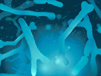 韩国大学新研究 肠道益菌可阻止新冠病毒入侵