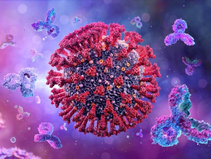 美发现超级抗体 能对抗多种变种新冠及冠状病毒