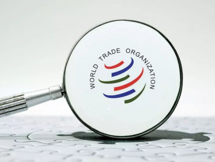 入世贸20年 商务部：将推动困境中的WTO改革