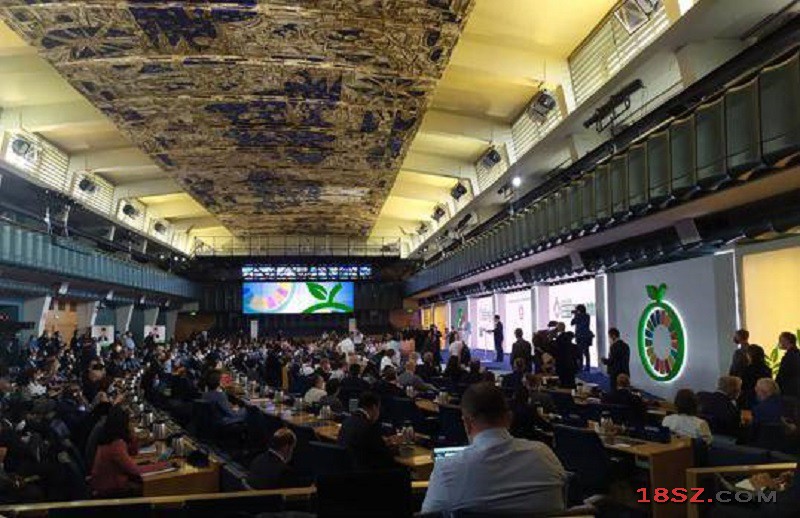 首届联合国粮食系统峰会