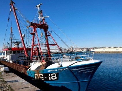 英法捕鱼权纠纷升级 英国召见法国驻英大使