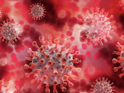 新冠病毒源头报告 认为病毒不是开发作生物武器