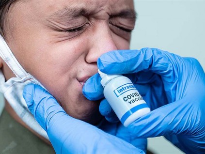鼻喷剂疫苗 可望对付下一种新冠病毒变体
