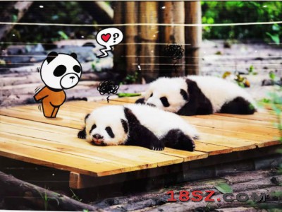 Panda Style