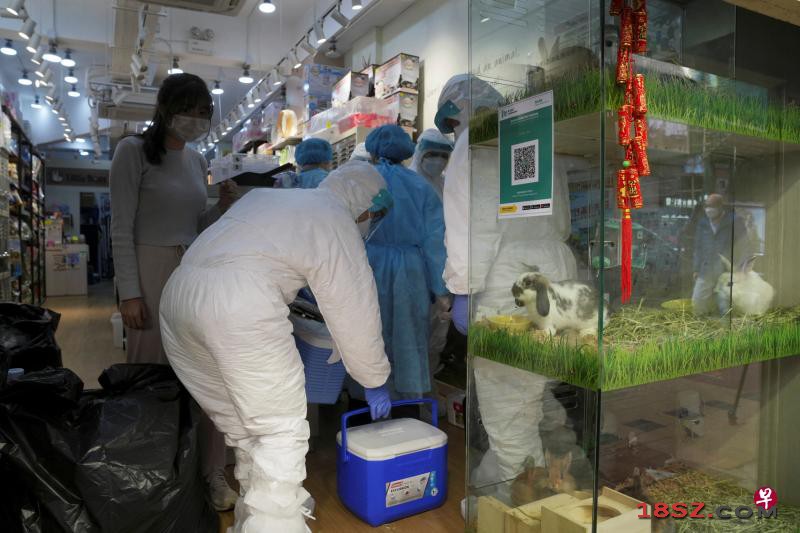 宠物店仓鼠验出冠病病毒 香港下令全面扑杀引争议