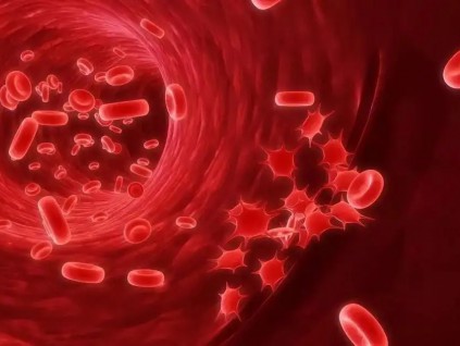 荷兰研究人员首次在人体血液中发现微塑料