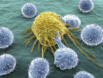 美国威州大学研发T细胞疫苗 新冠病毒再突变也不怕