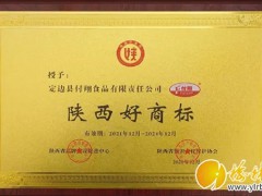 “中国品牌日”陕西主题活动举行 榆林4个商标荣获“陕西好商标”