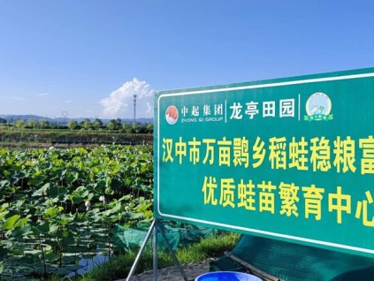陕西青年返乡创业 农业结合文化旅游创新经济 生态养殖树立典范
