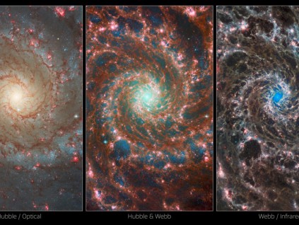 欧空局发布韦伯望远镜M74螺旋星系照片 非常魔幻