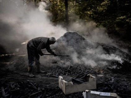 天然气短缺又昂贵 不少欧洲家庭得靠柴火木屑过冬