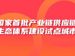 欣旺达助力深圳入选国家首批产业链供应链生态体系建设试点城市