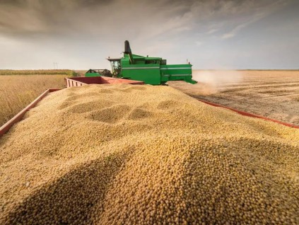 中国准备采购巴西豆粕玉米 以实现供应多元化