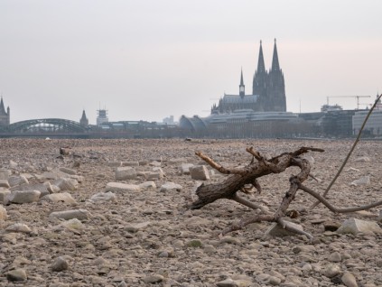 世卫：欧洲逾1万5000人死于2022高温德国最惨重