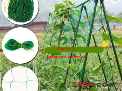 Vegetable Support Netting