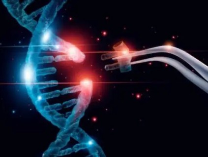贺建奎研究遗传病基因疗法 在北京建立新的实验室