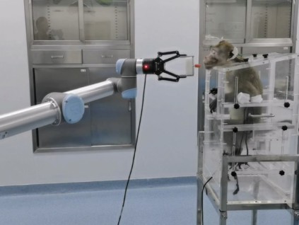 全球首例 中国脑机接口技术大突破：猴脑主动操控机械臂