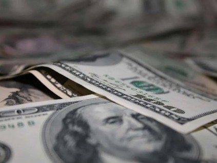 专家指出：美元衰退 远比美财长预期更严重