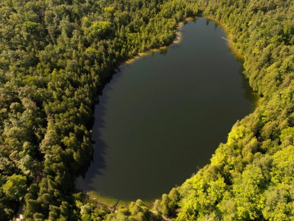 加拿大湖泊藏「宝」 疑证明地球进入新地质年代