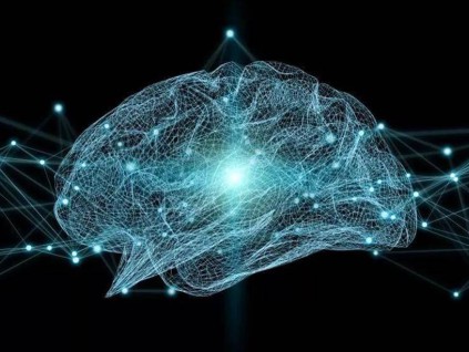 人脑结构的AI平台新突破 中国科学家成功打造「智脉」