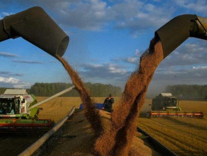 俄罗斯小麦丰收 缓解涨价压力 欧盟解除乌克兰谷物进口禁令