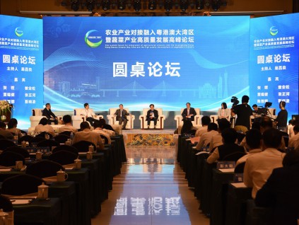 陈国基：香港今年5月主办大湾区人才高质量发展大会