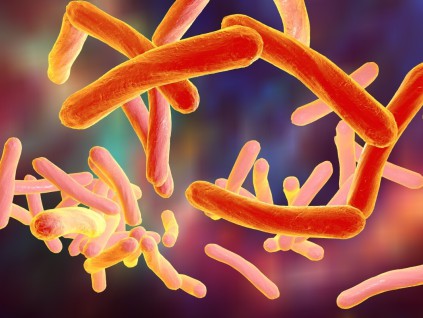 世界卫生组织公布新版「抗药性细菌目录」 分三类共15种