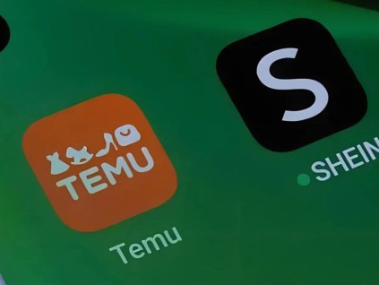 Temu和希音被令下月提供遵从欧盟数字服务条例信息