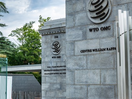 世贸组织预测受美国关税影响 全球货贸先扬后抑