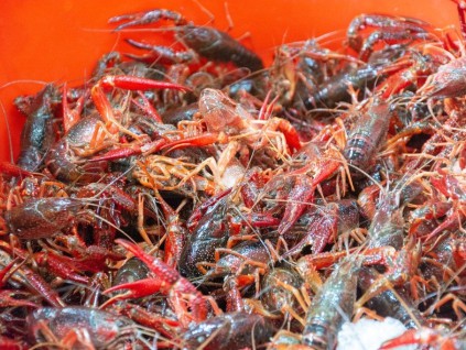 中国预制菜在日本超市热卖 小龙虾年销150吨