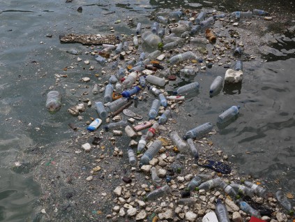 全球塑料过剩问题将日趋严重 每年制造2.8亿吨垃圾