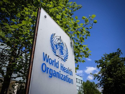 世卫组织报告：抗疟药物耐药性正威胁全球抗疟进展