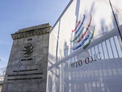 美欧熟橄榄贸易争端 世贸成员授权欧盟反制美国