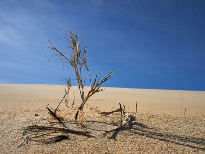 世界气象组织：2025年是有记录以来最热的三个年份之一