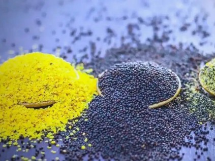 中国进口商采购加拿大油菜籽 澳洲出口预期受挫