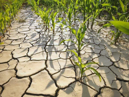 联合国报告：因环境破坏及变暖影响 全球缺水时代已来临