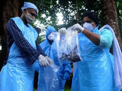 世卫：立百病毒从印度扩散风险低 不建议旅行贸易限制