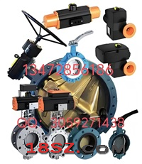 德国依博罗EBRO支耳式涡轮蝶阀Z014-A价格优惠.